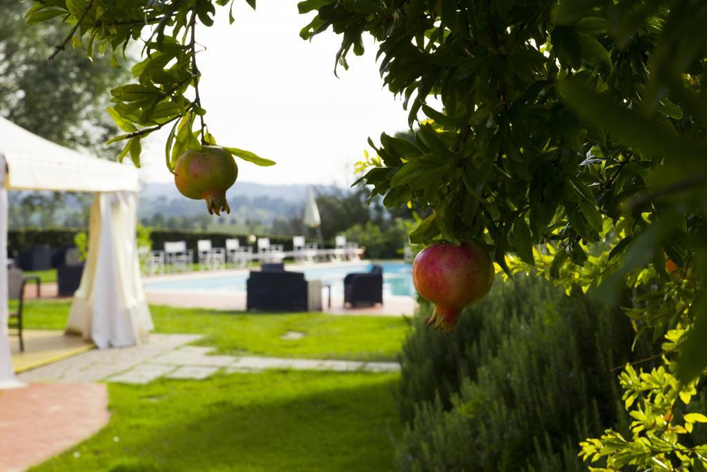 Agriturismo Marrucola San Miniato Luaran gambar